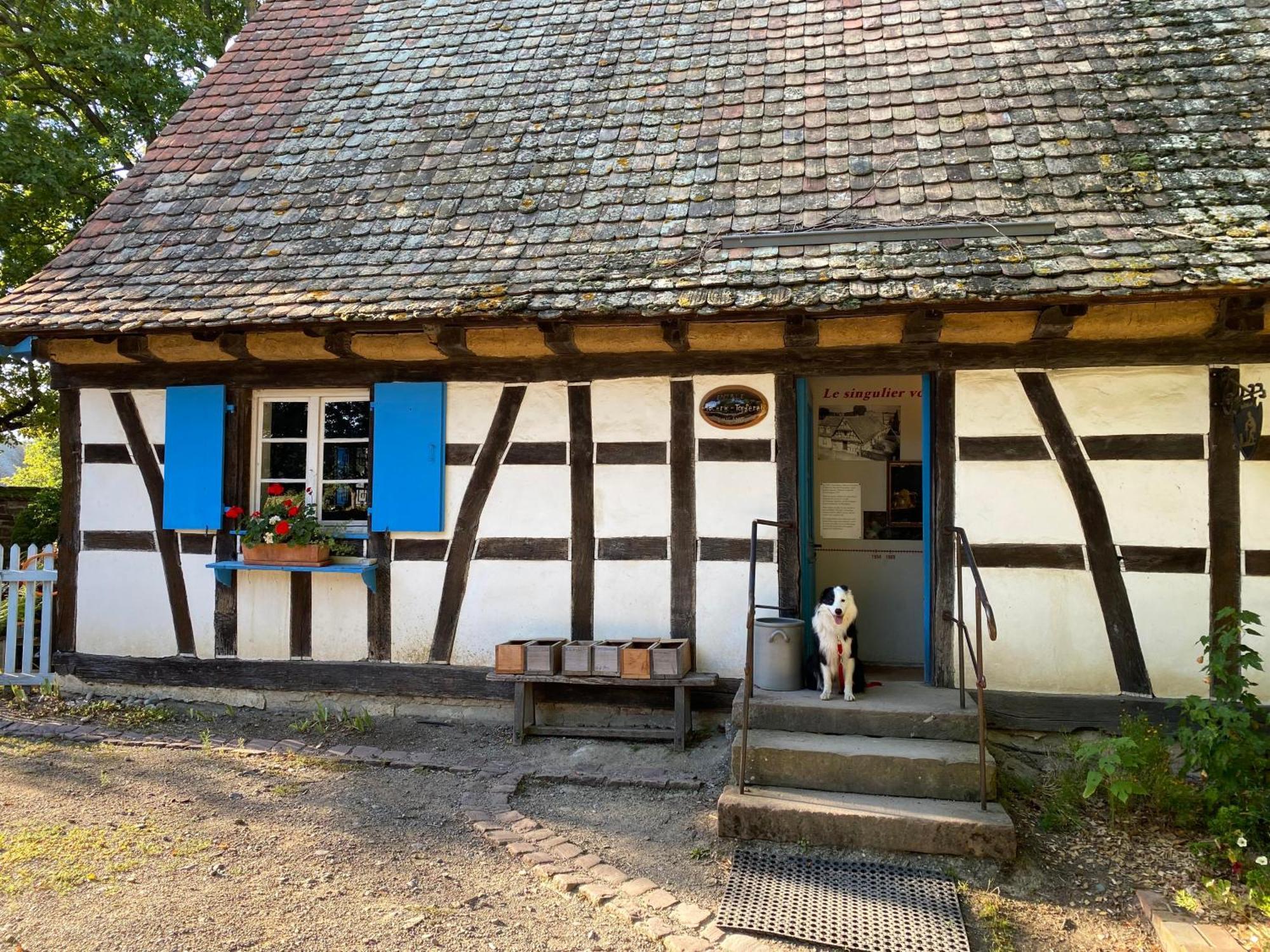 Chambres D'Hotes Des Cascades St-Nicolas Kruth Eksteriør billede